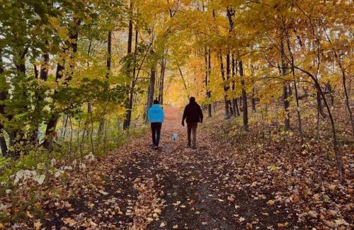 Clitherall House | Tranquil Beauty at Spitzer Lake Nature Escape