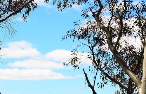Rockley Mount Cottage | Tranquil Bush Retreat close to Bathurst
