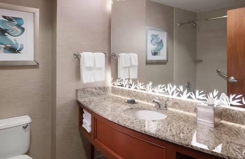St. Petersburg - Clearwater Hotel | Tranquil Cpuples Oasis near Beaches | Infinity Pool, Waterfront Dining