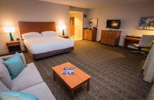 St. Petersburg - Clearwater Hotel | Tranquil Getaway | Waterfront Dining, Pool, Amazing View in 2 Units