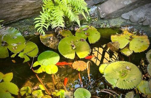 Daisy Hill House | Tranquil Japanese-Gardens Retreat