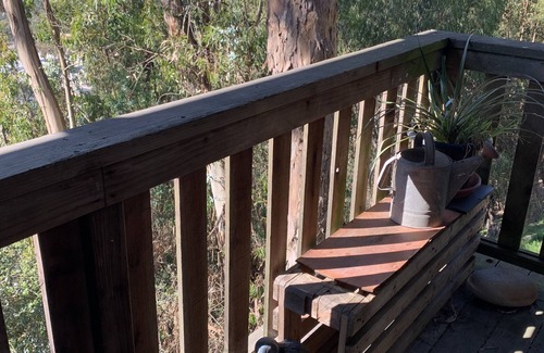 Piedmont Pines Apartment | Tranquil Modern 1 bedroom in-law unit in the Oakland Trees