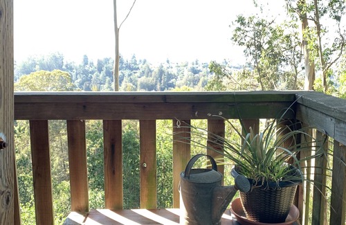 Piedmont Pines Apartment | Tranquil Modern 1 bedroom in-law unit in the Oakland Trees