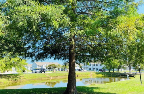 Gulf Shores Condo | Tranquil Retreat at Club Cottage
