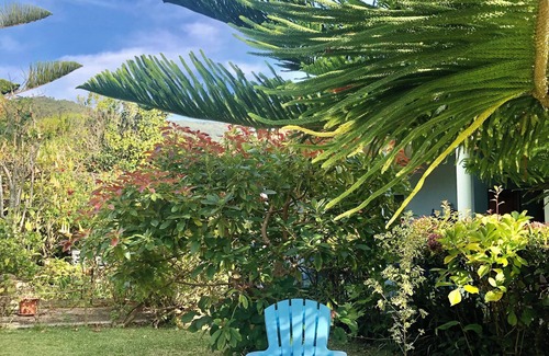 Afife House | TRANQUILITY IN QUIET GARDEN WITH POOLn(long stays only - prices negotiable)