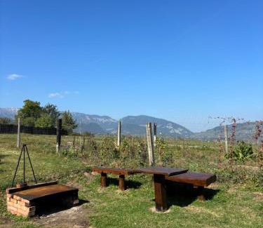Moieciu de Jos House | Transylvanian House