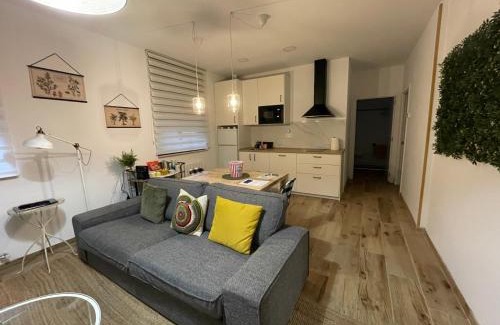 Uribarri Apartment | Trauko Flat Parking 12 euros x day EBI01313