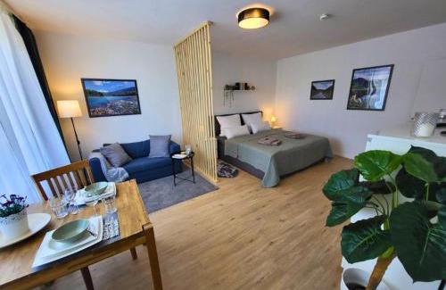 Unterneustadt Apartment | Traumhaftes, zentrumnahes Studio