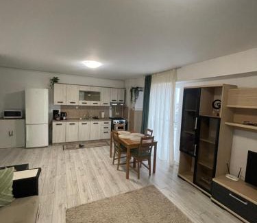 Otopeni Apartment | Travel Bucharest Airport Residences-SELF CHECK-IN