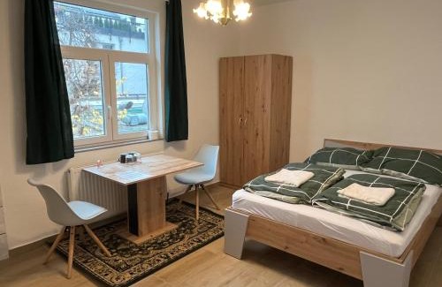 Brigittenau Apartment | Traveler Lodging Vienna