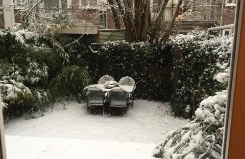 Stadionbuurt Apartment | Treasure