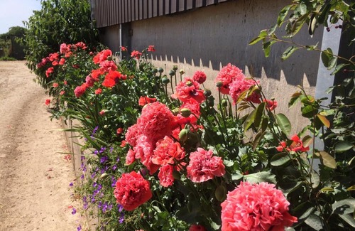 Quethiock Bed & Breakfast | Trecorme Barton