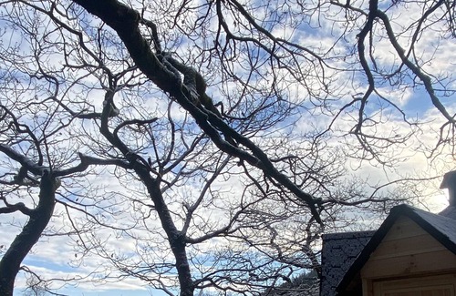 Llanelltyd Cabin | Tree House Cabin with Hot tub & Sauna - In Snowdonia