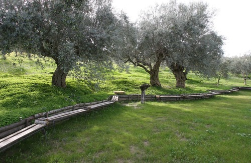 Enna House | Tree House in an organic farm