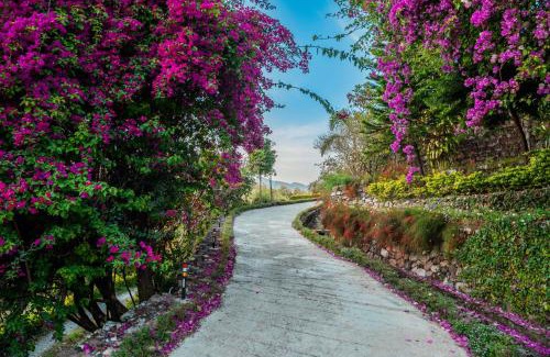 Bigha Resort | Tree of Life Resort Dehradun Foothills