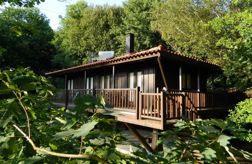 Arcos de Valdevez Cottage | Tree Pool Villa