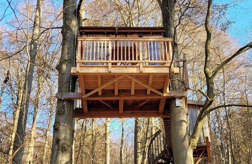 Solling Apartment | Tree tent beech - Baumhaushotel Solling
