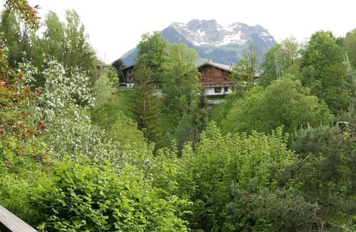 Gstaad Apartment | Tree-Tops, Chalet by Interhome