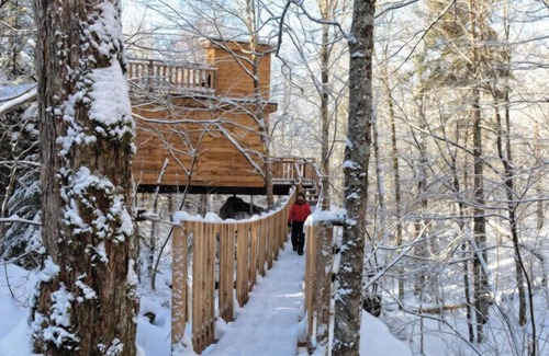 Saint-Faustin-Lac-Carre House | Treehouse #06 | The Rockhouse