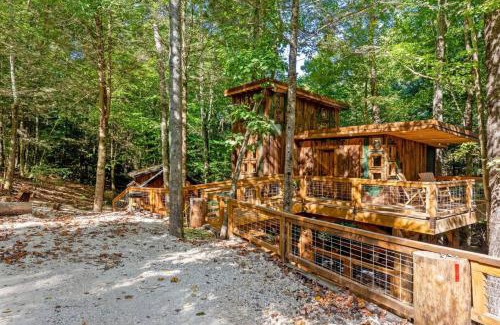 Rogers House | Treehouse - Amazonia - Red River Gorge KY