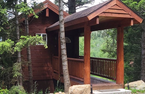 Island Park Apartment | "Treehouse" Cozy Retreat for 2 Near Yellowstone!