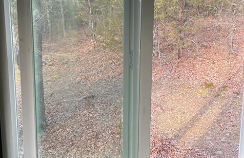 Prairie Grove Cabin | Treehouse - Great Overnight Getaway for Peace & Quiet
