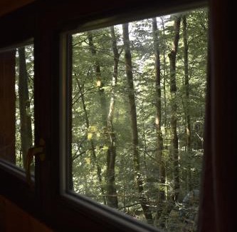 Velke Losiny Cabin | Treehouse Velké Losiny