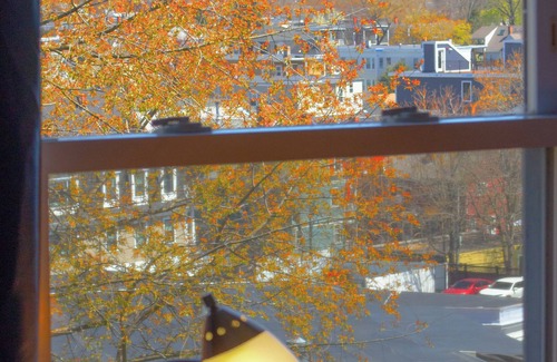 Jones Hill Apartment | Treetop/Balcony Suite with ocean view; safe, near subway