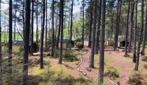 Munlochy Other | Treetops at Wildwoodz Off grid treehouse No electricity