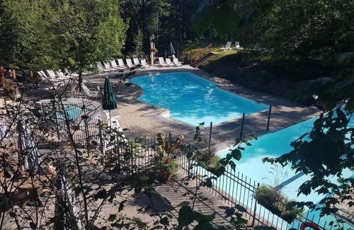 Tremblant-Les-Eaux Apartment | Tremblant Prestige - Les Eaux 215-6