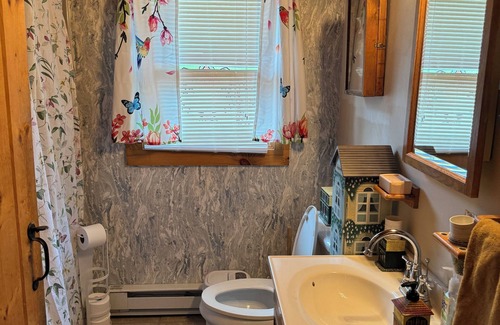 Conway Cabin | Tremendous cabin with AC in charming Conway
