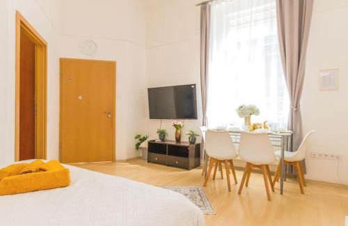 Jozsefvaros Apartment | Trendy 2 ROOM Flat, next to Corvin Mall FREE Huge Garage! AC,DISHWASHER,WASHMACHINE, SMART TV