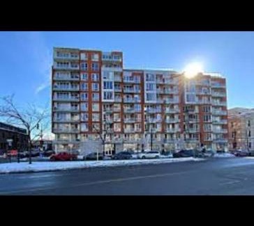 Griffintown Apartment | Trendycozy