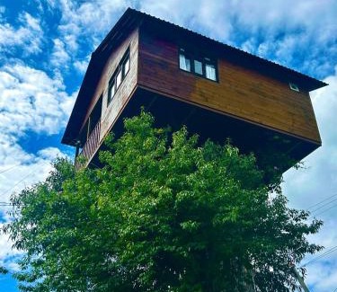 Omitlan de Juarez House | Trini Treehouse By GEstores