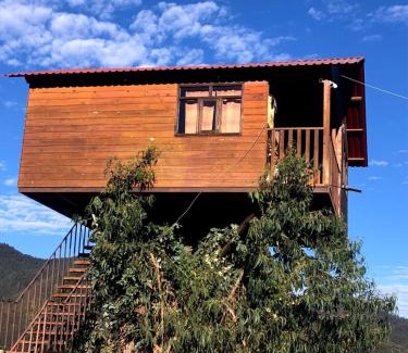 Omitlan de Juarez House | Trini Treehouse By GEstores