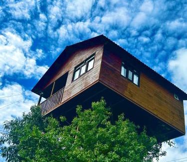 Omitlan de Juarez House | Trini Treehouse By GEstores