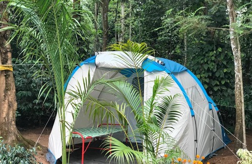 Belur House | Triwoods Plantation Farm Stay