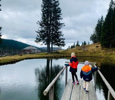 Schonberg House | Troadkastn Chalet Lachtal