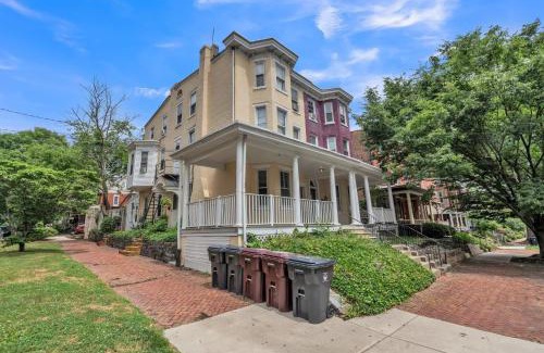 Wilmington Apartment | Trolley Teacup Charming Cozy Studio apts