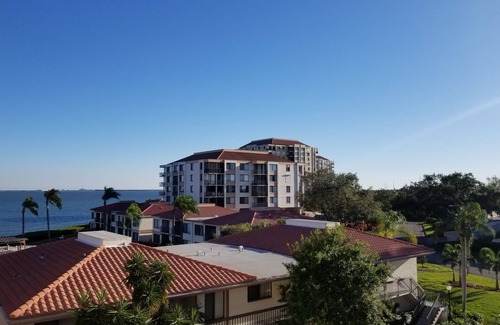 Palma del Mar Condo | Tropical 1 BD 1.5 BA Condo on Isla Del Sol, St Petersburg, Florida