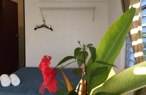 Isabel II House | Tropical Guest House