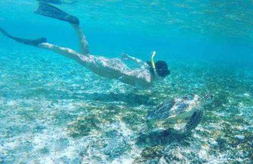 Gili Trawangan House | Tropical House Bungalows