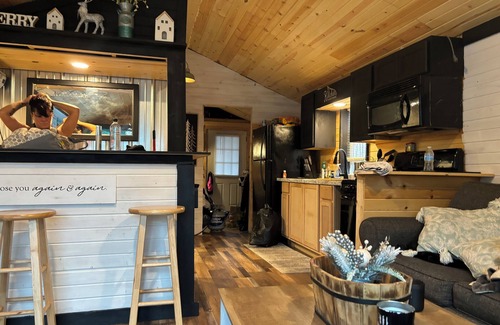 Kalkaska Cabin | Tropical Oasis located on trails on 10 private acres. Outdoorsman Paradise