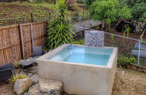 Isabel II Apartment | Tropical Studio with Private Pool & Balcony