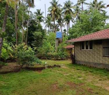 Nagaon Cabin | Tropical Whisper
