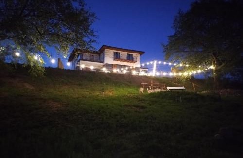Lubowo Bed & Breakfast | Tropikalna Odnowa