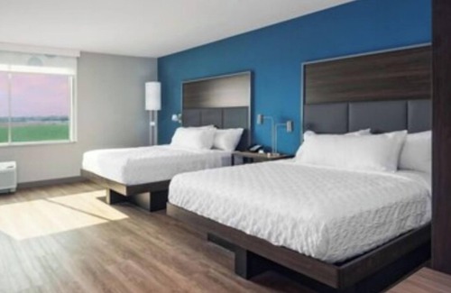 Goodyear Hotel | Tru By Hilton Goodyear Phoenix West, AZ