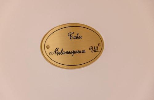 Montepulciano Apartment | Truffle House Tuscany Tuber Melanosporum Vitt