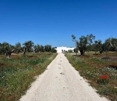 San Michele Salentino Villa | Trullo La Rosmarina