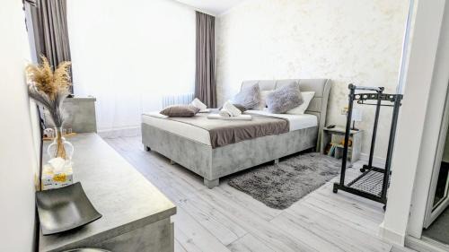 Curtea De Arges Apartment | TS Room